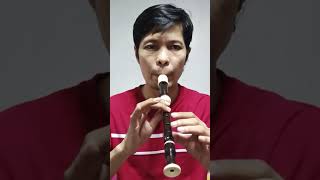 Happy birthday to you Recorder Flute Flute music [upl. by Hakym]