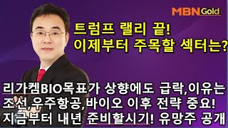 이효근의 텐텐텐 1113트럼프랠리 끝 이제부터 주목할 섹터는 리가켐 목표가 상향에도 급락 이유는 조선바이오우주 이후전략중요 지금부터 내년을 준비할 유망주 공개 [upl. by Neiluj]