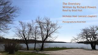 The Overstory 2nd Chapter Nicholas Hoel Book written by Richard Powers As read by Brad Huit [upl. by Leksehcey]