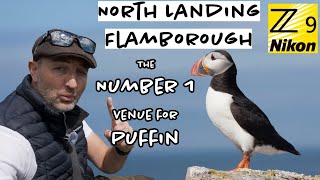 Flamborough Head  Perfect for Puffins [upl. by Voccola]