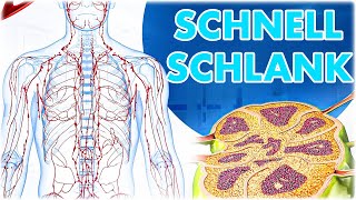 Lymphödem bekämpfen 5 Min täglich zur Gewichtsreduktion durch diese neuen Lymphödem Übungen [upl. by Enneirdna]