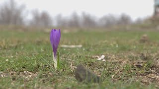 Sabato ultimo giorno di apertura impianti in Val di Luce [upl. by Ocnarf]