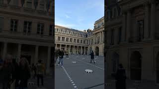 🇫🇷The Paris Autumn  Colonnes de Buren  Les Deux Plateaux ParisFrance l 15 October 2021 [upl. by Ecirtnahs583]