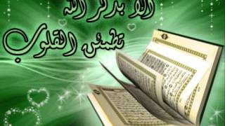 Surah MulkSheykh Ibrahim Al Akhdar [upl. by Teerprug]