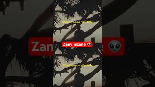 ZANY INZANE  අවර්ණ 💯 zany zanyinzane awarna seethalagini freestylerap sinhalarap rap music [upl. by Noell]