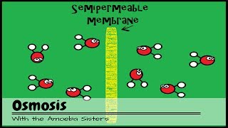 OLD VIDEO Osmosis [upl. by Jezebel41]