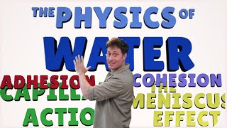 The Physics of Water [upl. by Emse860]