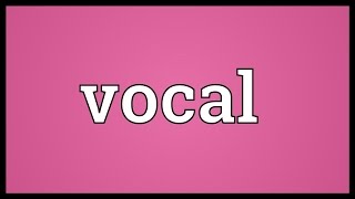 Vocal Meaning [upl. by Einor]