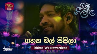 Gahaka Mal Pipila  ගහක මල් පිපිලා  Ridma Weerawardena  Piyum Neela Vila  Roo Tunes [upl. by Nottap]