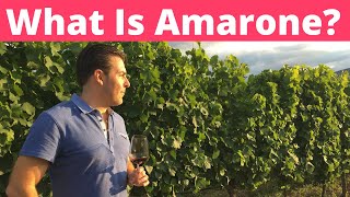 Amarone  What is it [upl. by Mintz]