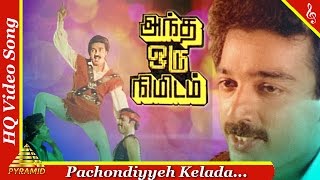 Pachondiyyeh Kelada Video Song Andha Oru Nimidam Movie Songs Kamal HaasanUrvashiPyramid Music [upl. by Yllom]