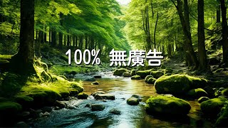 【100 無廣告 】  世界上最好聽的純音樂！值得你單曲圈的輕音樂合輯！  舒服鋼琴讓你很快靜下心來早晨正能量音乐治療音樂冥想舒緩按摩美麗的鳥鳴與流水 [upl. by Anneirb778]