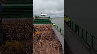 LOADING OF TIMBER SAW youtubeshorts [upl. by Hnid]