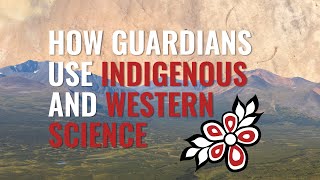 How Guardians Use Indigenous and Western Science [upl. by Seibold506]