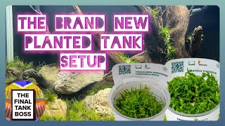 The New Planted Tank  A tutorial to a simple planted setup [upl. by Aicetal557]