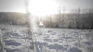 Die schönen Seiten des Winters in SchleswigHolstein [upl. by Mairhpe486]