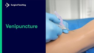 How to Perform Venipuncture [upl. by Aiekram]