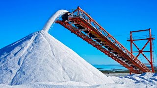 How Salt Is Made From Seawater  Largest Salt Production Factory In the World [upl. by Omrelliug45]