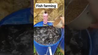 Fish farming made easy [upl. by Standice]