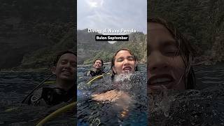 Diving di musim Mola Mola bulan September… ketemu ga [upl. by Lenahs]