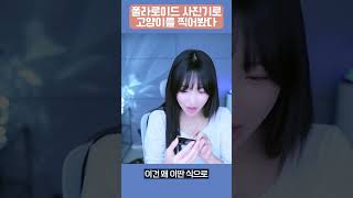 폴라로이드 사진기로 고양이를 찍어보았다 instaxmini 폴라로이드 고양이 [upl. by Leena]