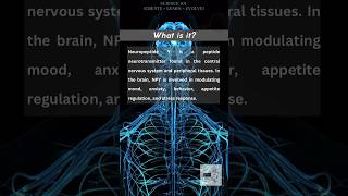 What is Neuropeptide Y [upl. by Orravan902]