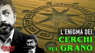 Il mistero dei cerchi nel grano [upl. by Naimaj]