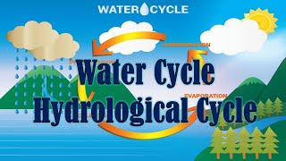 WatercycleHydrological Cycleexplained  The Modern Teacher  TeluguEnglish  General Studies [upl. by Anelis]