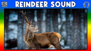 🦌 REINDEER SOUND  REINDEER SOUND EFFECT  SANTA REINDEER SOUND  NOISE OF REINDEER [upl. by Ecidnac350]