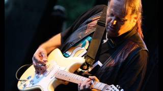 Walter Trout  Time For Moving On [upl. by Mercuri]