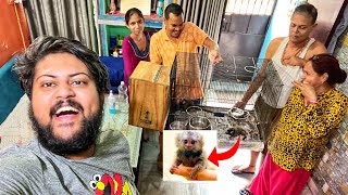 SURPRISING MY FAMILY WITH OUR NEW PET MONKEY😍🔥 [upl. by Ernesto446]