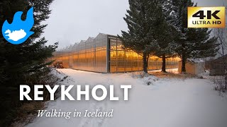 Iceland Walking Tour  Reykholt 4K [upl. by Vassell683]