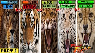 lion vs tigerleopardblack jaguarchitha animation—all animation [upl. by Onavlis]