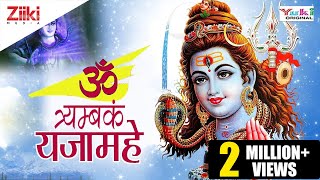 ॐ त्र्यम्बकं यजामहे सुगन्धिं पुष्टिवर्धनम्  OM TRYAMBAKAM YAJAMAHE  SHIV MANTRA [upl. by Sandro]