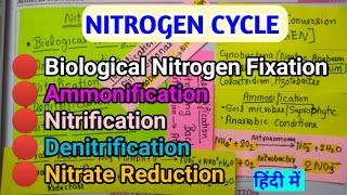 नाइट्रोजन साइकिल सारा कन्फ्यूजन खत्म  nitrogencycle [upl. by Nahtnanhoj]