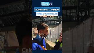 Goldaniga esalta FABREGAS quotAl Como facciamo CALCIOquot 👈👆👉 E imita Lele Adani [upl. by Orecic]