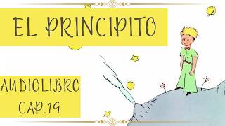 EL PRINCIPITO Cap 19 AUDIOLIBRO [upl. by Papageno]