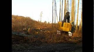 Tigercat 822 Feller Buncher [upl. by Ahsiel573]