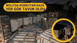 TAVUK YÜKLÜ KAMYONU DEVRİLDİ 1112024 [upl. by Hallimaj]