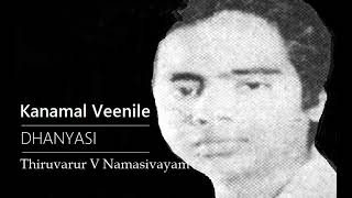 Kanamal Veenile  Dhanyasi  Adi  Muthu Thandavar  Thiruvarur V Namasivayam [upl. by Corwin]