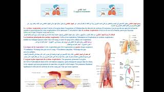 الجهاز التنفسي Lappareil respiratoire [upl. by Christen]