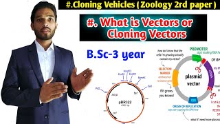 Cloning Vectors  Expression vector  BSc 3rd year Zoology second paper  Biotechnology [upl. by Anrev573]