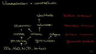 284  Voedselketen en voedselweb [upl. by Yaakov260]