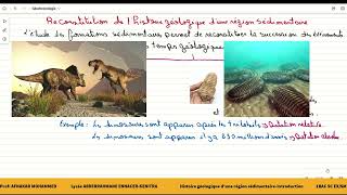 7 Histoires géologique dune région sédimentaire Introductiondatation relativedatation absolue [upl. by Niatsirt]