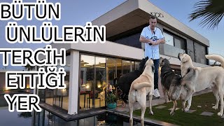 LÜKS OTELİNİ SOKAK KÖPEKLERİNE TAHSİS EDEN KOCA YÜREKLİ ADAM [upl. by Naashar]