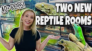 REPTILE ROOM TOUR 2023 NEW PET ROOMS [upl. by Pellet858]