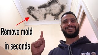 How to remove and kill mold  mould [upl. by Dygal248]