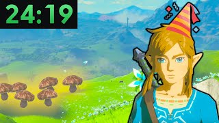 BotW Any No Amiibo 2419 Former WR [upl. by Woodman]