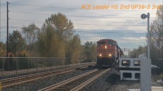 A Jackpot of trains in Tukwila WA ACE Leader H1 2nd GP382 3rd 102524 [upl. by Dagny738]