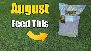 August Lawn Care  What to Feed Your Lawn [upl. by Yojal]